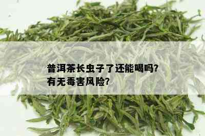 普洱茶长虫子了还能喝吗？有无害风险？