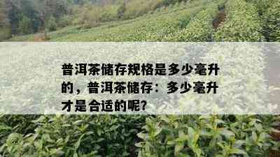 普洱茶储存规格是多少毫升的，普洱茶储存：多少毫升才是合适的呢？