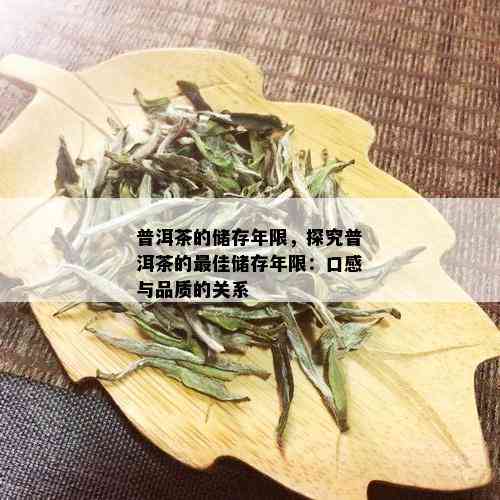 普洱茶的储存年限，探究普洱茶的更佳储存年限：口感与品质的关系