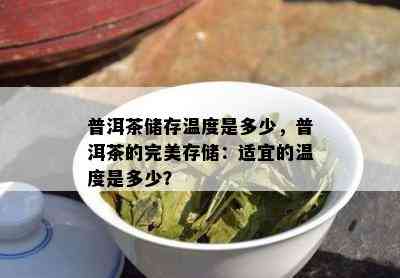 普洱茶储存温度是多少，普洱茶的完美存储：适宜的温度是多少？