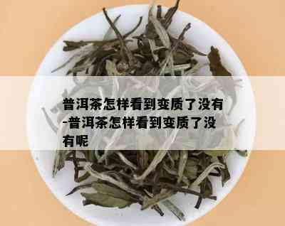 普洱茶怎样看到变质了没有-普洱茶怎样看到变质了没有呢