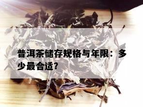 普洱茶储存规格与年限：多少最合适？