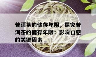 普洱茶的储存年限，探究普洱茶的储存年限：影响口感的关键因素