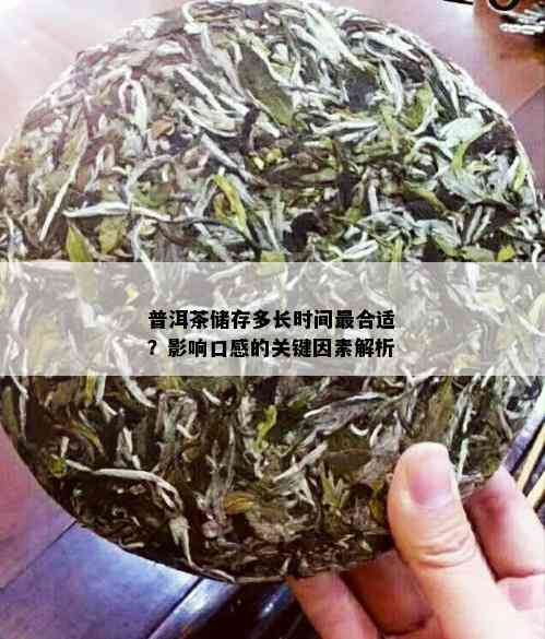 普洱茶储存多长时间最合适？影响口感的关键因素解析