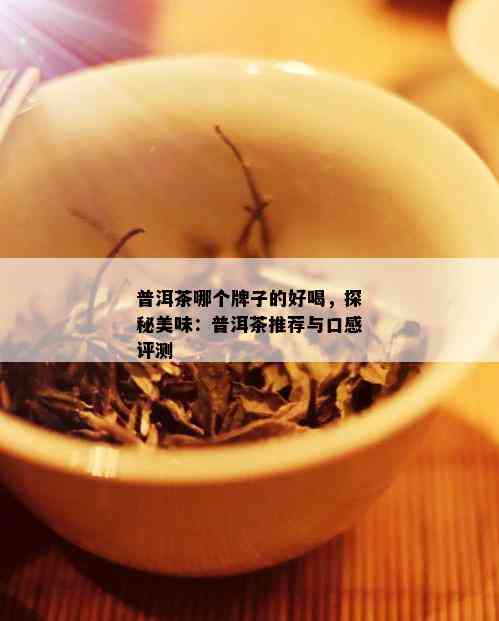 普洱茶哪个牌子的好喝，探秘美味：普洱茶推荐与口感评测