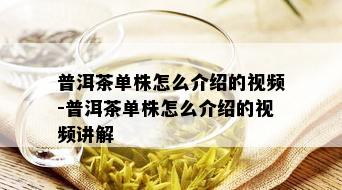 普洱茶单株怎么介绍的视频-普洱茶单株怎么介绍的视频讲解