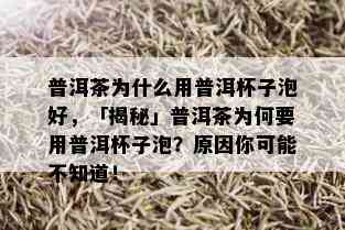 普洱茶为什么用普洱杯子泡好，「揭秘」普洱茶为何要用普洱杯子泡？原因你可能不知道！