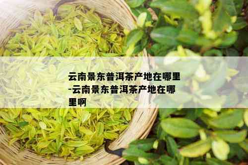 云南景东普洱茶产地在哪里-云南景东普洱茶产地在哪里啊