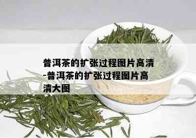 普洱茶的扩张过程图片高清-普洱茶的扩张过程图片高清大图