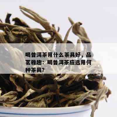 喝普洱茶用什么茶具好，品茗雅趣：喝普洱茶应选用何种茶具？