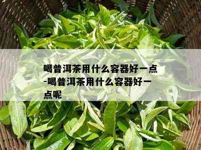 喝普洱茶用什么容器好一点-喝普洱茶用什么容器好一点呢