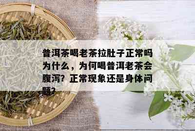 普洱茶喝老茶拉肚子正常吗为什么，为何喝普洱老茶会腹泻？正常现象还是身体问题？