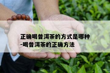 正确喝普洱茶的方式是哪种-喝普洱茶的正确方法