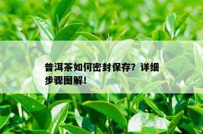 普洱茶如何密封保存？详细步骤图解！