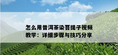 怎么用普洱茶染菩提子视频教学：详细步骤与技巧分享