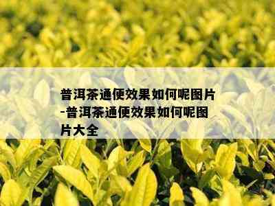 普洱茶通便效果如何呢图片-普洱茶通便效果如何呢图片大全