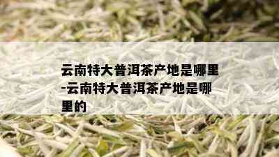 云南特大普洱茶产地是哪里-云南特大普洱茶产地是哪里的