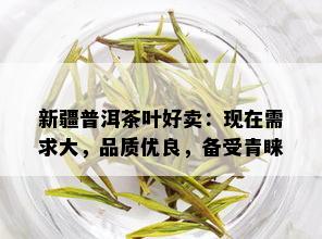 新疆普洱茶叶好卖：现在需求大，品质优良，备受青睐