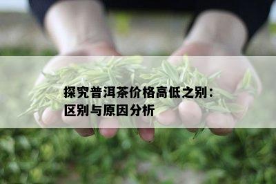 探究普洱茶价格高低之别：区别与原因分析