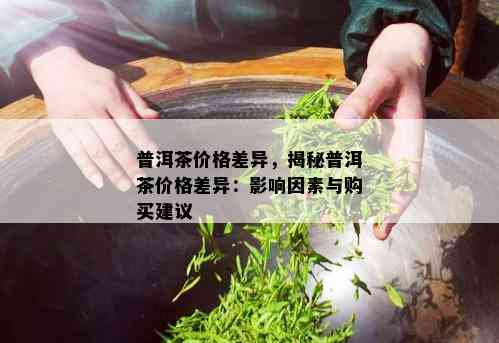 普洱茶价格差异，揭秘普洱茶价格差异：影响因素与购买建议