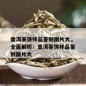 普洱茶饼样品鉴别图片大，全面解析：普洱茶饼样品鉴别图片大