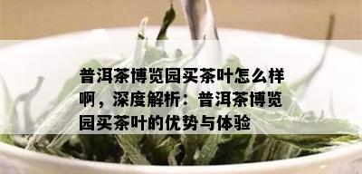 普洱茶博览园买茶叶怎么样啊，深度解析：普洱茶博览园买茶叶的优势与体验