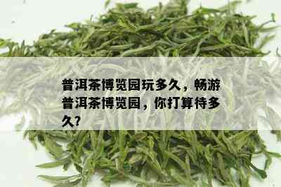 普洱茶博览园玩多久，畅游普洱茶博览园，你打算待多久？