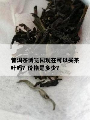 普洱茶博览园现在可以买茶叶吗？价格是多少？