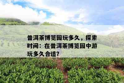 普洱茶博览园玩多久，探索时间：在普洱茶博览园中游玩多久合适？