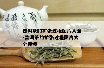 普洱茶的扩张过程图片大全-普洱茶的扩张过程图片大全视频