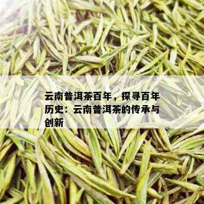 云南普洱茶百年，探寻百年历史：云南普洱茶的传承与创新