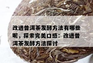 改进普洱茶发酵方法有哪些呢，探索完美口感：改进普洱茶发酵方法探讨