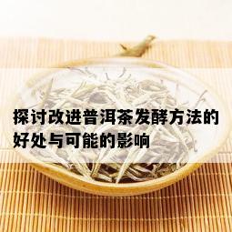 探讨改进普洱茶发酵方法的好处与可能的影响