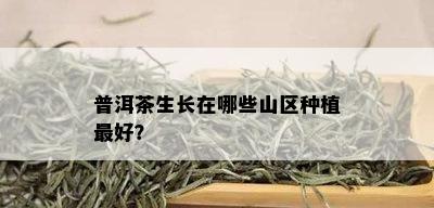 普洱茶生长在哪些山区种植更好？