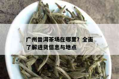 广州普洱茶场在哪里？全面了解进货信息与地点