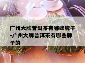 广州大牌普洱茶有哪些牌子-广州大牌普洱茶有哪些牌子的