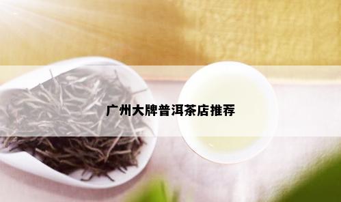 广州大牌普洱茶店推荐