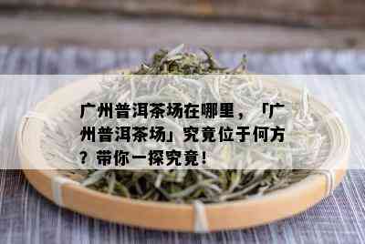 广州普洱茶场在哪里，「广州普洱茶场」究竟位于何方？带你一探究竟！