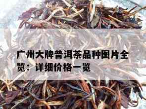 广州大牌普洱茶品种图片全览：详细价格一览