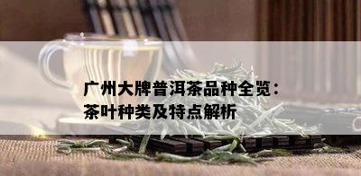 广州大牌普洱茶品种全览：茶叶种类及特点解析