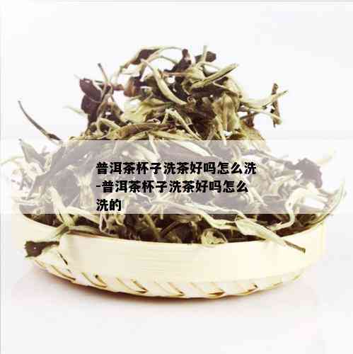 普洱茶杯子洗茶好吗怎么洗-普洱茶杯子洗茶好吗怎么洗的