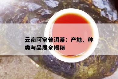 云南阿宝普洱茶：产地、种类与品质全揭秘