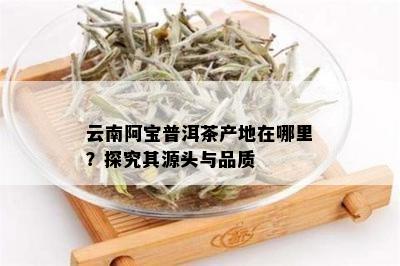 云南阿宝普洱茶产地在哪里？探究其源头与品质