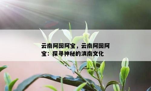 云南阿囡阿宝，云南阿囡阿宝：探寻神秘的滇南文化