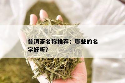 普洱茶名称推荐：哪些的名字好听？