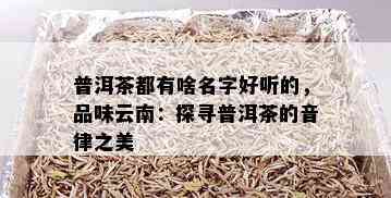 普洱茶都有啥名字好听的，品味云南：探寻普洱茶的音律之美