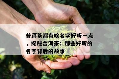 普洱茶都有啥名字好听一点，探秘普洱茶：那些好听的名字背后的故事