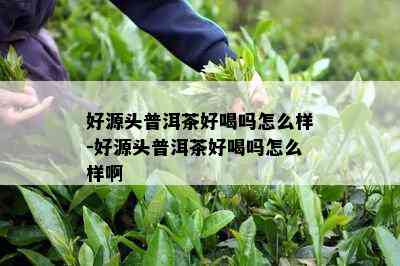 好源头普洱茶好喝吗怎么样-好源头普洱茶好喝吗怎么样啊