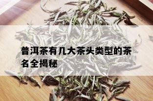 普洱茶有几大茶头类型的茶名全揭秘