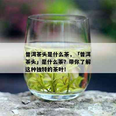 普洱茶头是什么茶，「普洱茶头」是什么茶？带你了解这种独特的茶叶！